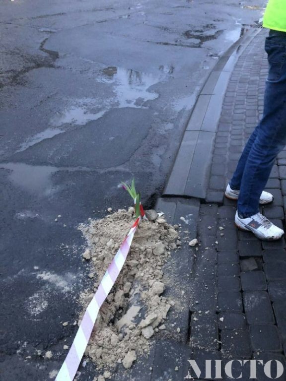 "30 км відремонтованих доріг". Франківські автоактивісти посадили квіти в найнебезпечніші ями на вулицях міста (фоторепортаж)