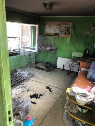 У Калуші ледь не згорів притулок для собак - волонтери просять про допомогу