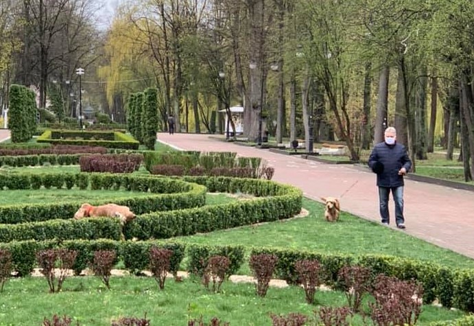 Власники собак, разом зі своїми улюбленцями, нищать газони у міському парку: фото