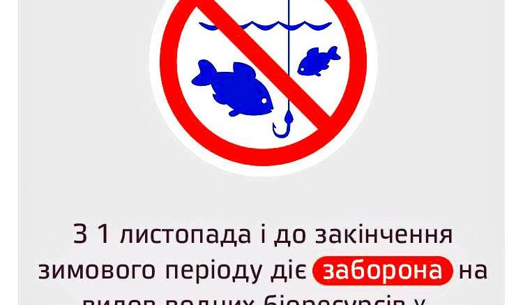 Встановлюється заборона рибальства на зимувальних ямах Прикарпаття - Місто
