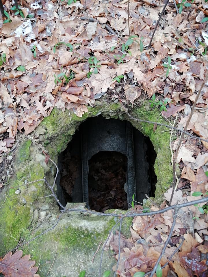 У прикарпатському селі чорні археологи розкопали давнє поховання ФОТО