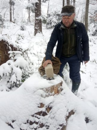 Прикарпатські лісівники організували підгодівлю диких тварин у зимовий період ФОТО