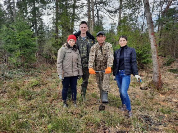 У Солотвинському лісництві висадили молодий ліс