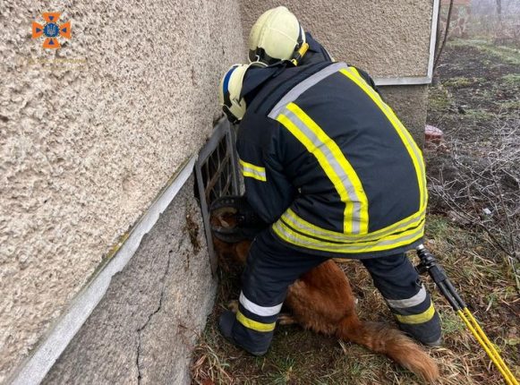 Прикарпатські рятувальники вивільнили собаку з вентиляційної решітки