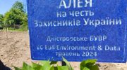 На березі Дністра висадили алею каштанів на честь Захисників України