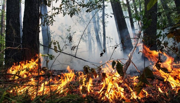 Франківців попереджають про небезпечні погодні явища