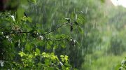 Дощ і грози продовжаться: якою буде погода на Прикарпатті 2 червня