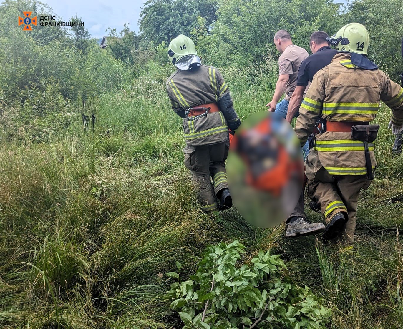 На Косівщині на 64-річного чоловіка впало дерево