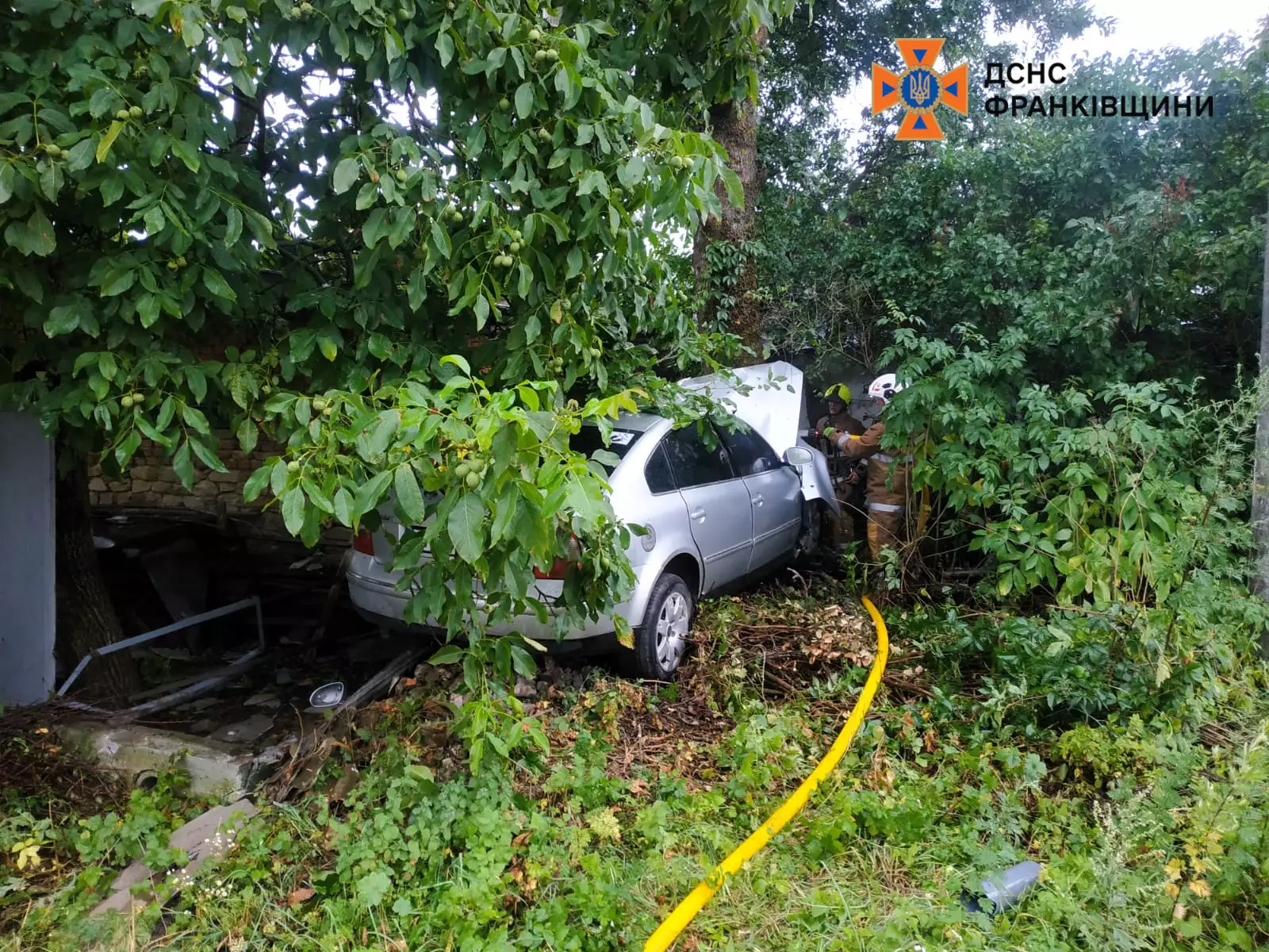 На Коломийщині автівка врізалась в дерево: що відомо