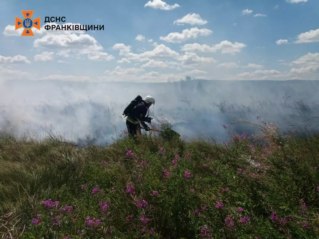 На Прикарпатті було 10 пожеж за добу: що горіло