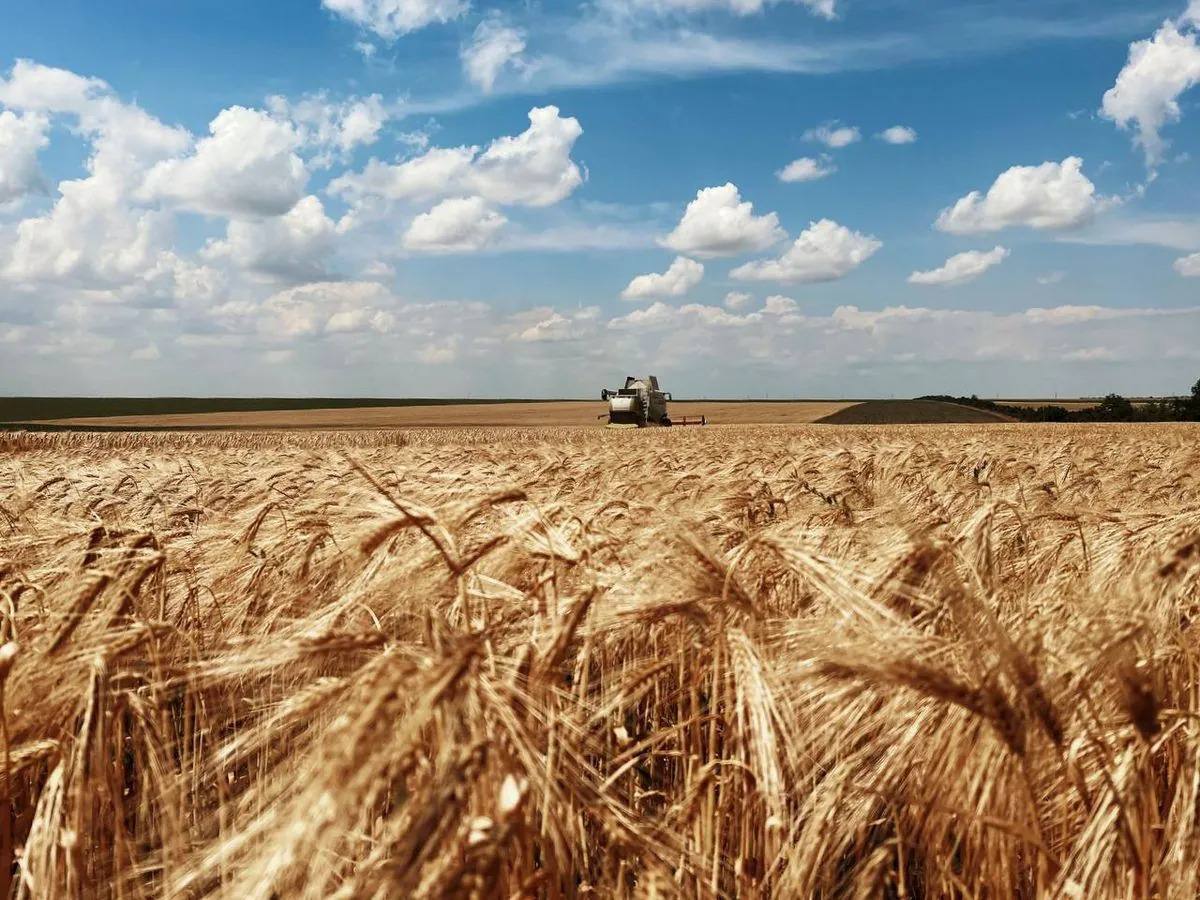 На Прикарпатті завершують збір зернових