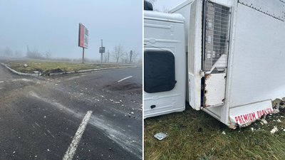 На Коломийщині перекинулася вантажівка зі свинячими тушами