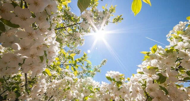 Травень 2025 року на Прикарпатті буде теплішим за норму: прогноз