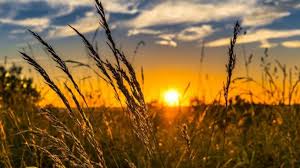 На Івано-Франківщині 16 квітня збережеться тепла погода, вночі – дощ і туман