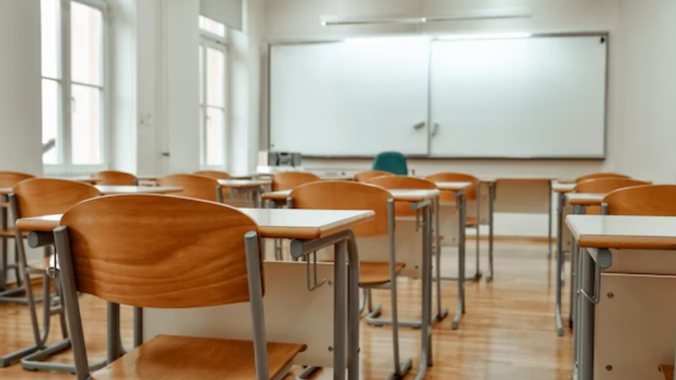 У школах України стартував моніторинг використання державної мови в освіті