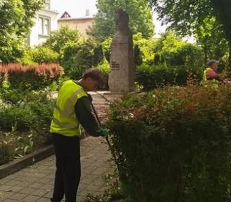 В Івано-Франківську триває сезонна обрізка дерев та кущів: догляд за зеленими насадженнями для безпеки містян