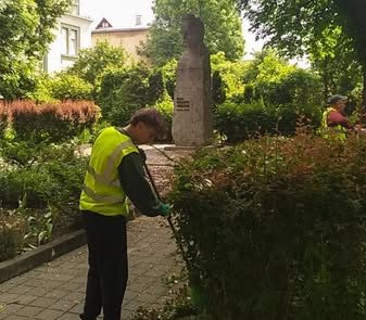 В Івано-Франківську триває сезонна обрізка дерев та кущів: догляд за зеленими насадженнями для безпеки містян