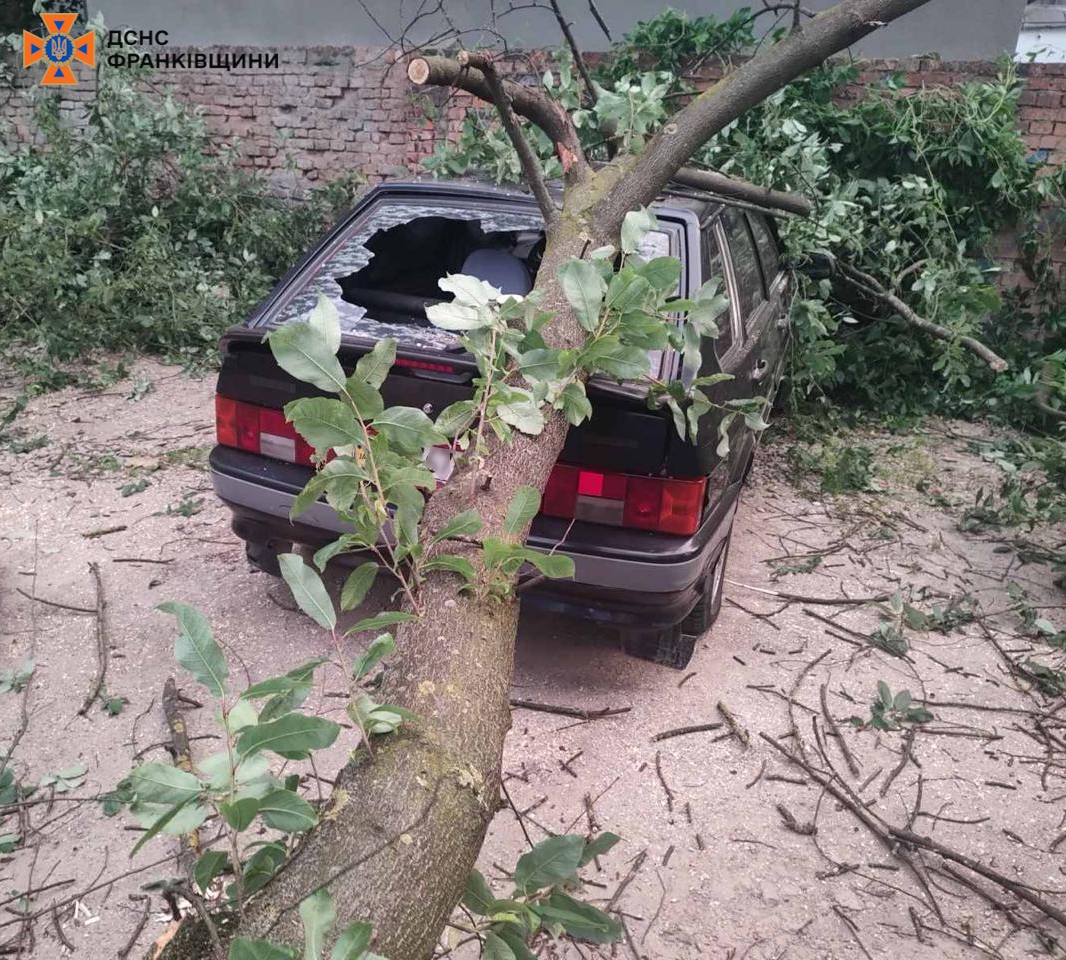 Шквальний вітер на Франківщині: постраждали авто й будинки