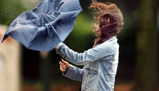 На Прикарпатті очікують сильний вітер: оголошено жовтий рівень небезпеки