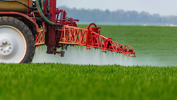 Агробізнес в Україні: відкриттів удвічі більше, ніж закриттів. Яка ситуація на Івано-Франківщині?