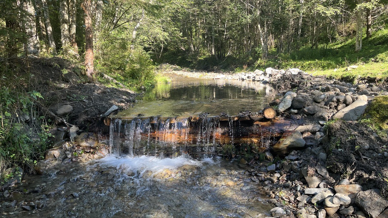 Збував заборонені речовини: на Прикарпатті арештували зловмисника